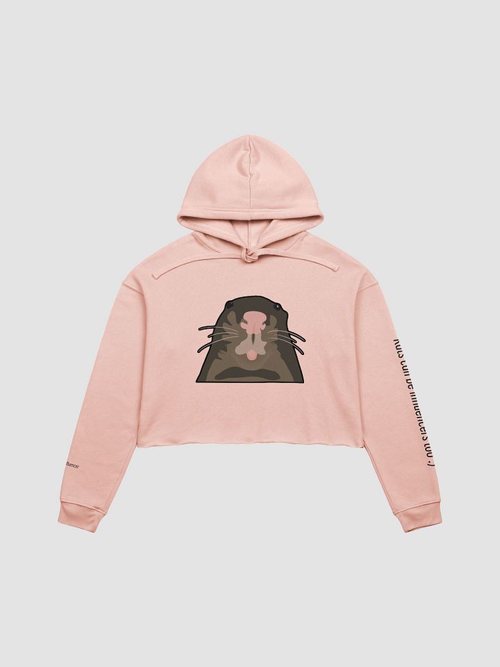 Rats can be influencers too :) Cropped Hoodie product image (1)