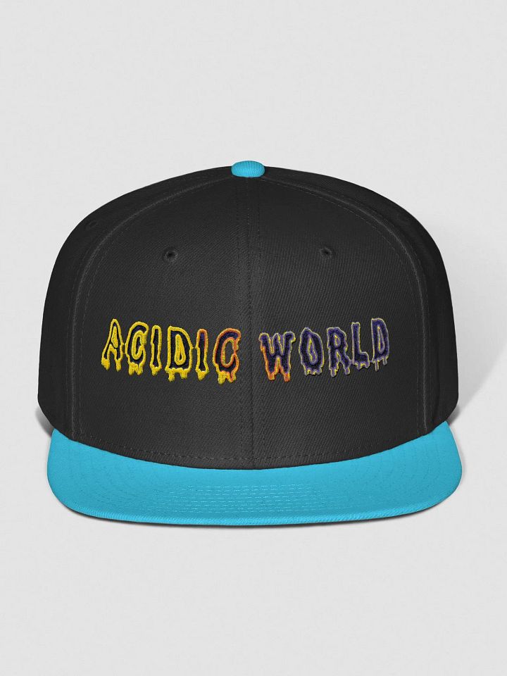 AW Snap Back product image (4)