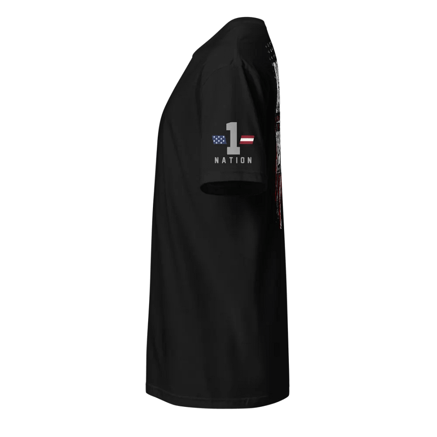Born In and Sworn In product image (2)