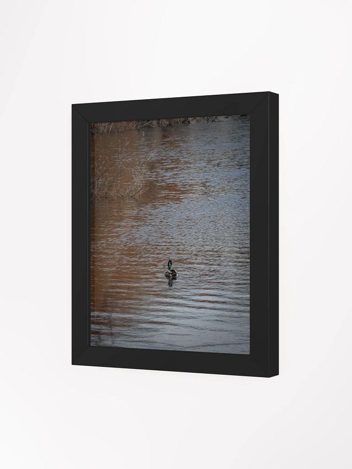 Duck Canvas product image (18)