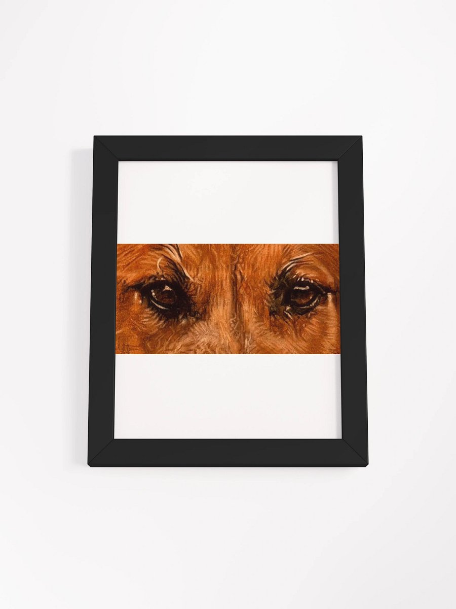 BBlack Mouth Cur Eyes Colored Pencil Framed product image (1)