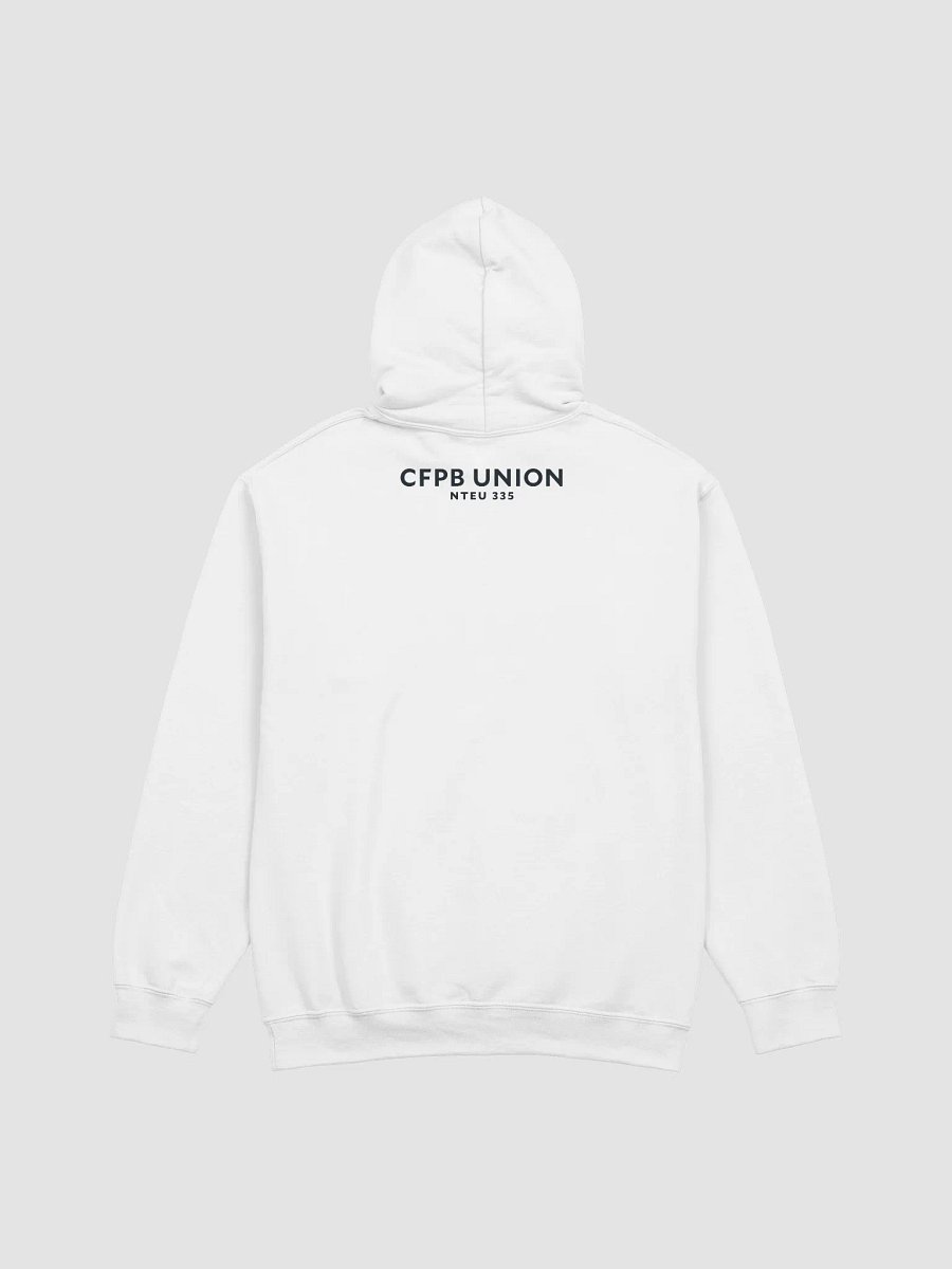CFPB Piggy Bank Picket Hoodie product image (4)