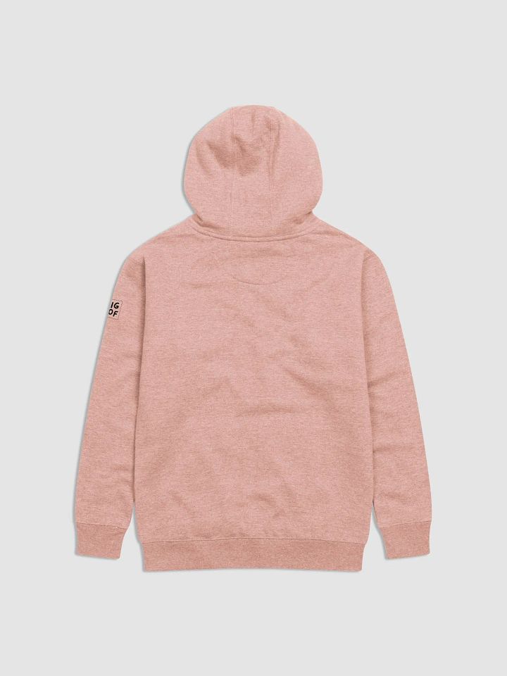 Four Hour Long Conspiracy - Hoodie product image (2)