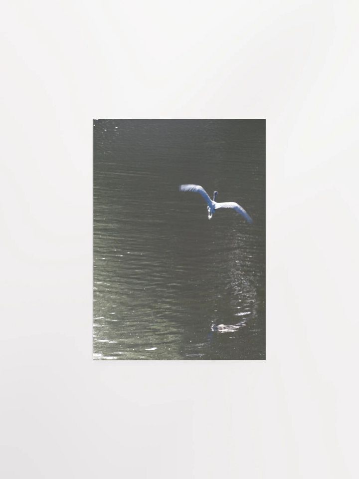 Flying Heron product image (2)