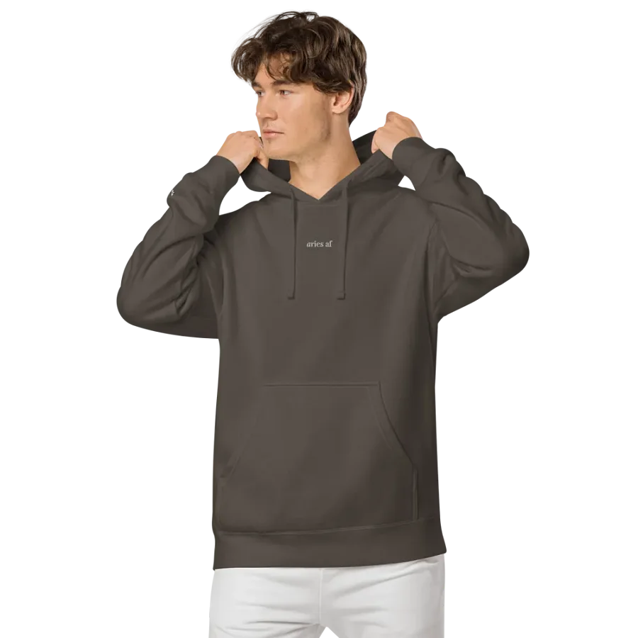 aries horoscope hoodie product image (7)