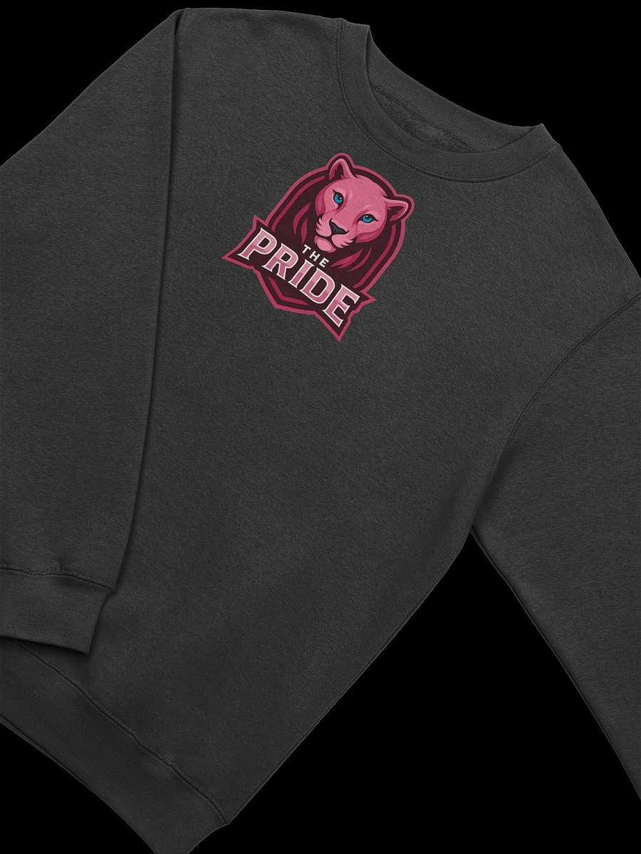 The Pride long sleeve product image (23)