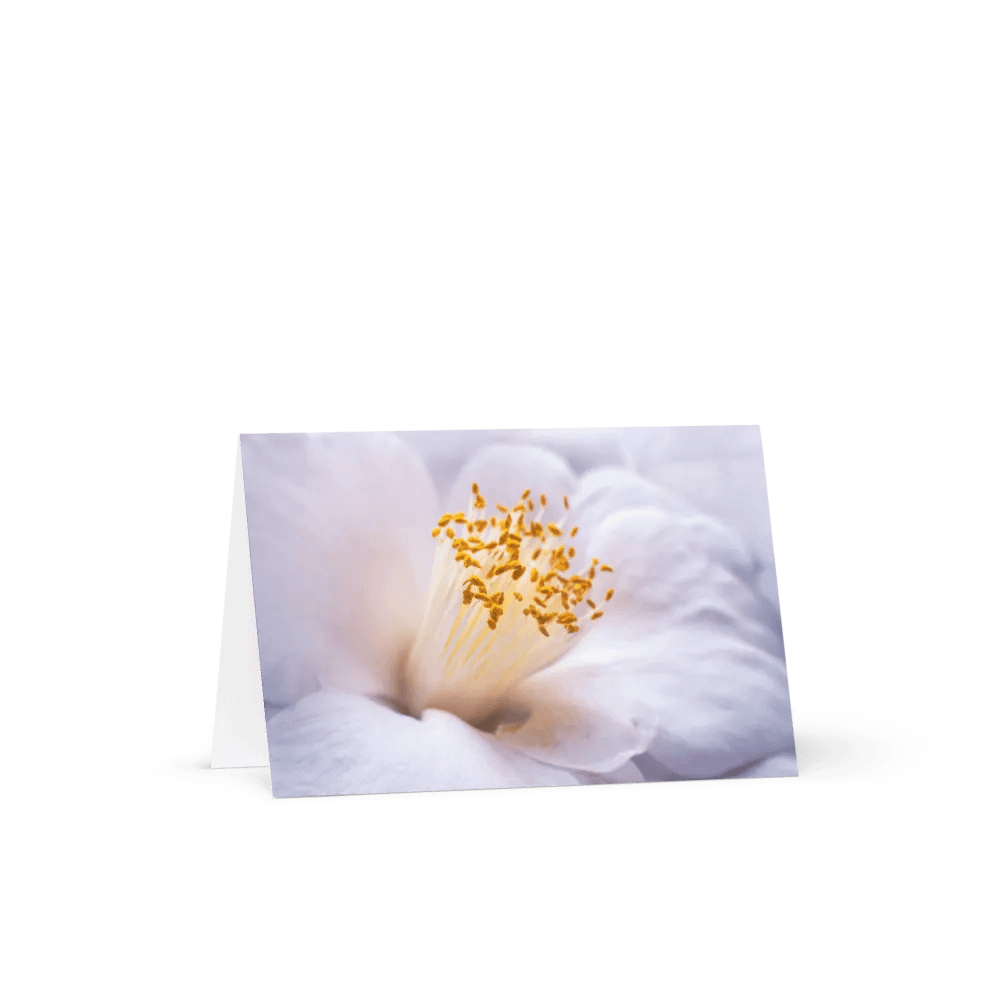 Camellia Clouds Notecard product image (4)