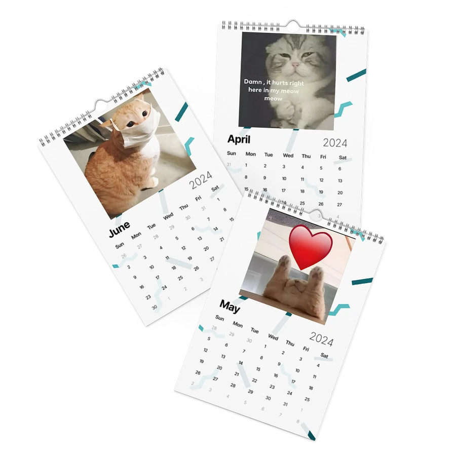 Wall Calendar (2024): Meme Cats product image (3)