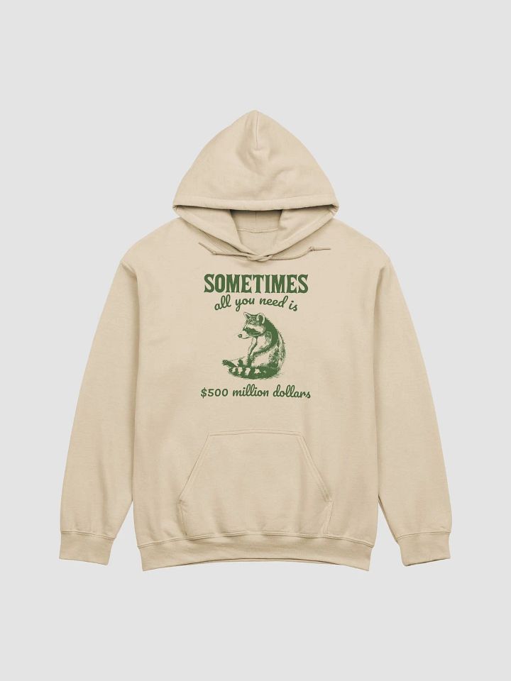 Sometimes all you need is 500 million dollars Hoodie product image (1)
