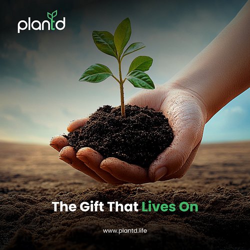 In a world full of waste, a tree is a gift that gives back to the planet. 🌍

- Plant one for someone you love.
- Send a certi...