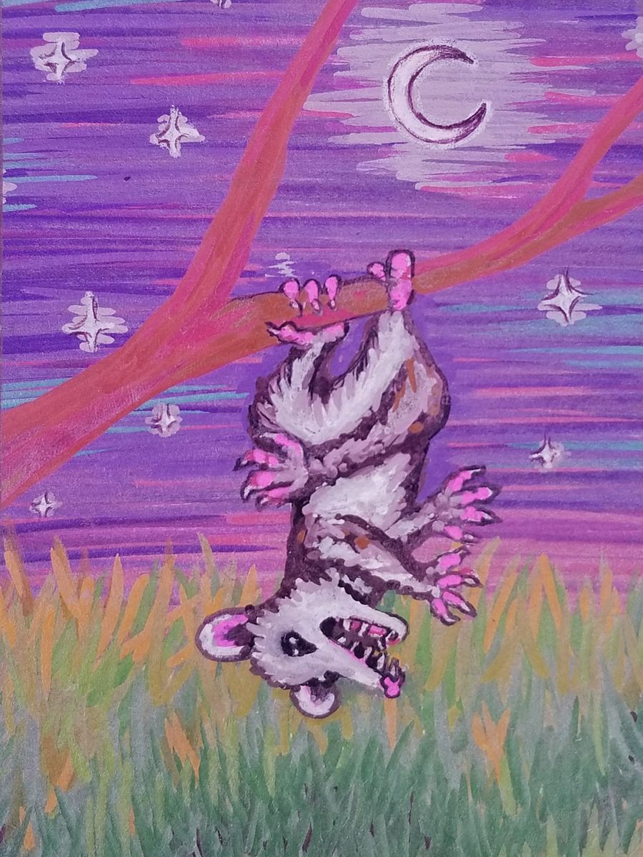 Possum Scream Print product image (1)