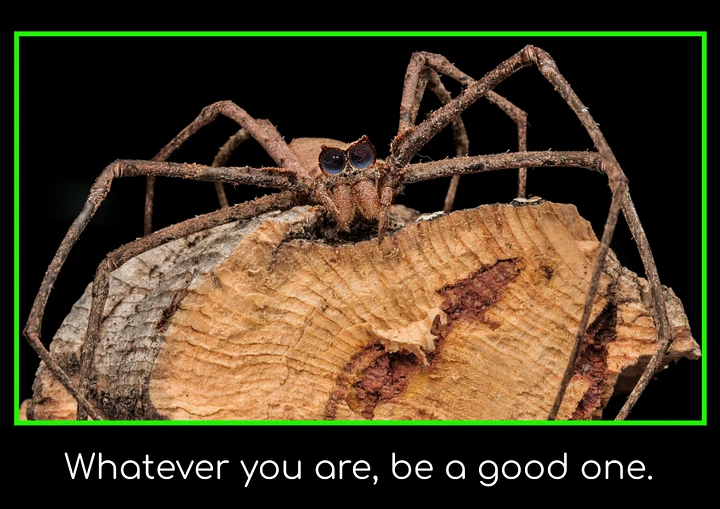 Ogre Face Net Casting Spider Framed Poster product image (1)