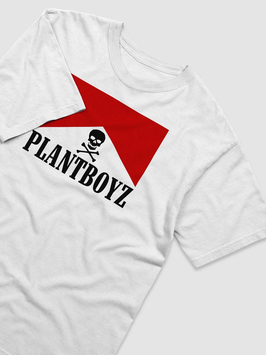 Flavor Country Tee product image (3)