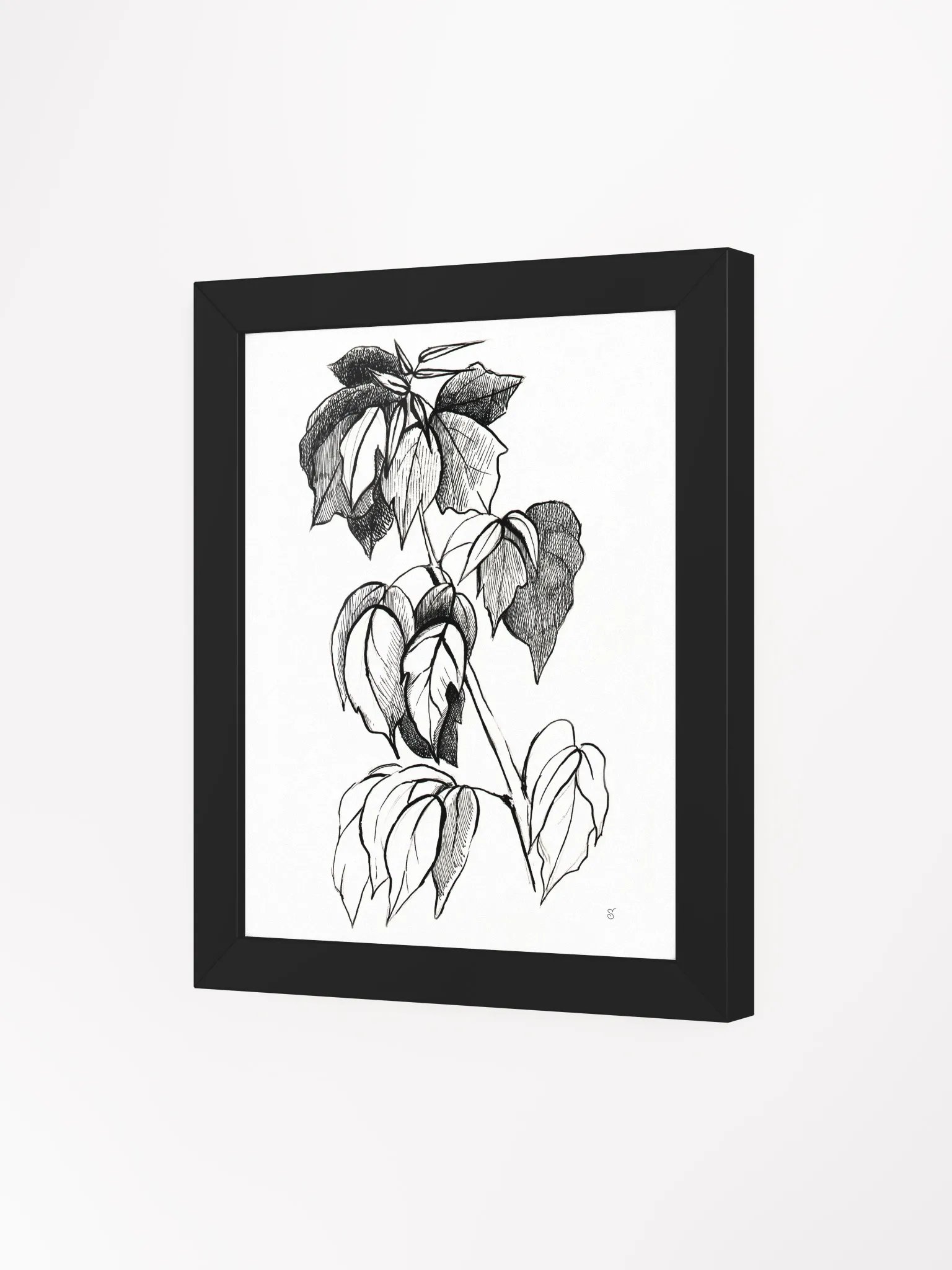 Botanical Sketch Framed Matte Poster - Stylish Graphical Twig product image (8)
