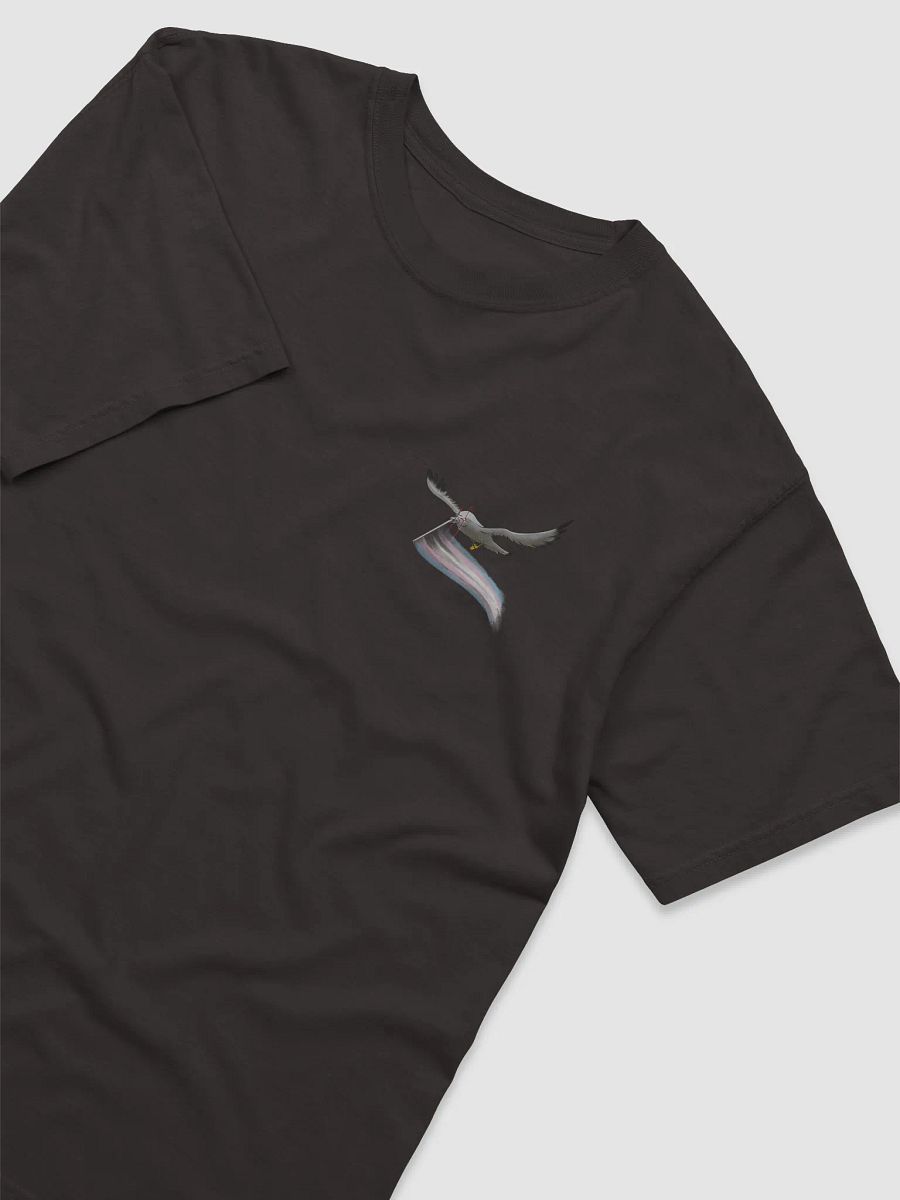 Valentina says trans rights product image (40)