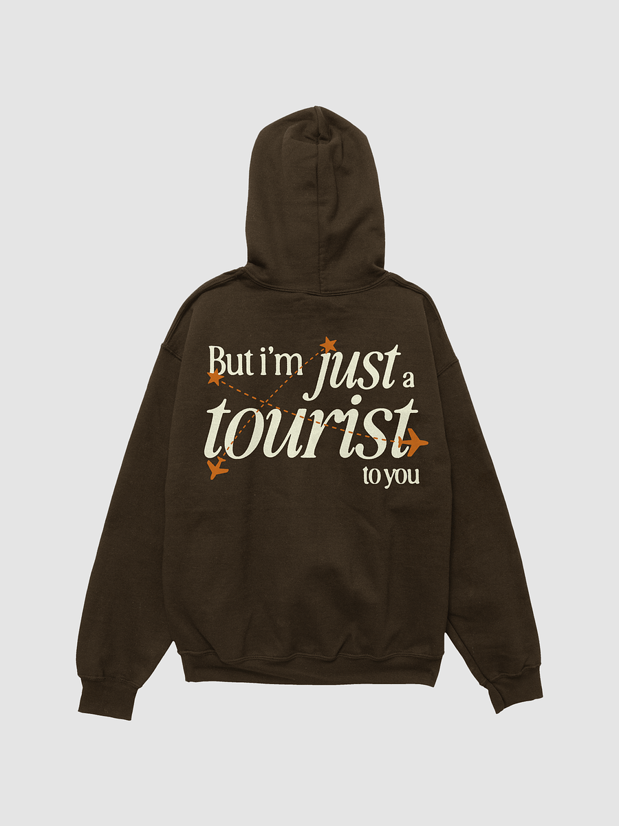 'HOMESICK' hoodie product image (2)