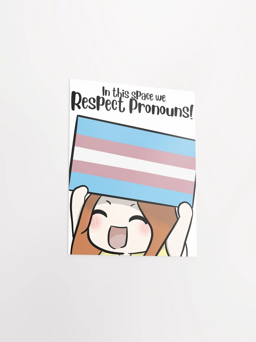Respect Pronouns Poster - Transgender product image (3)