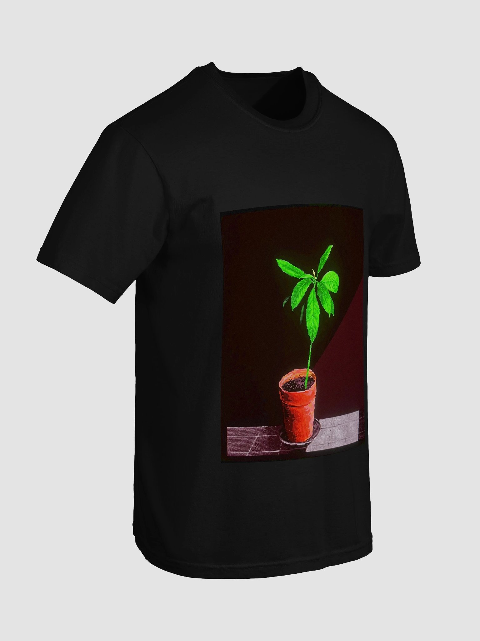 avocado in terracotta pot product image (7)