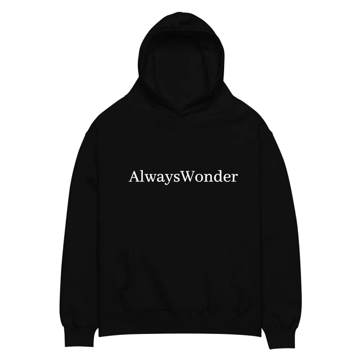 Always Wonder Black Unisex Premium Oversized Hoodie product image (2)
