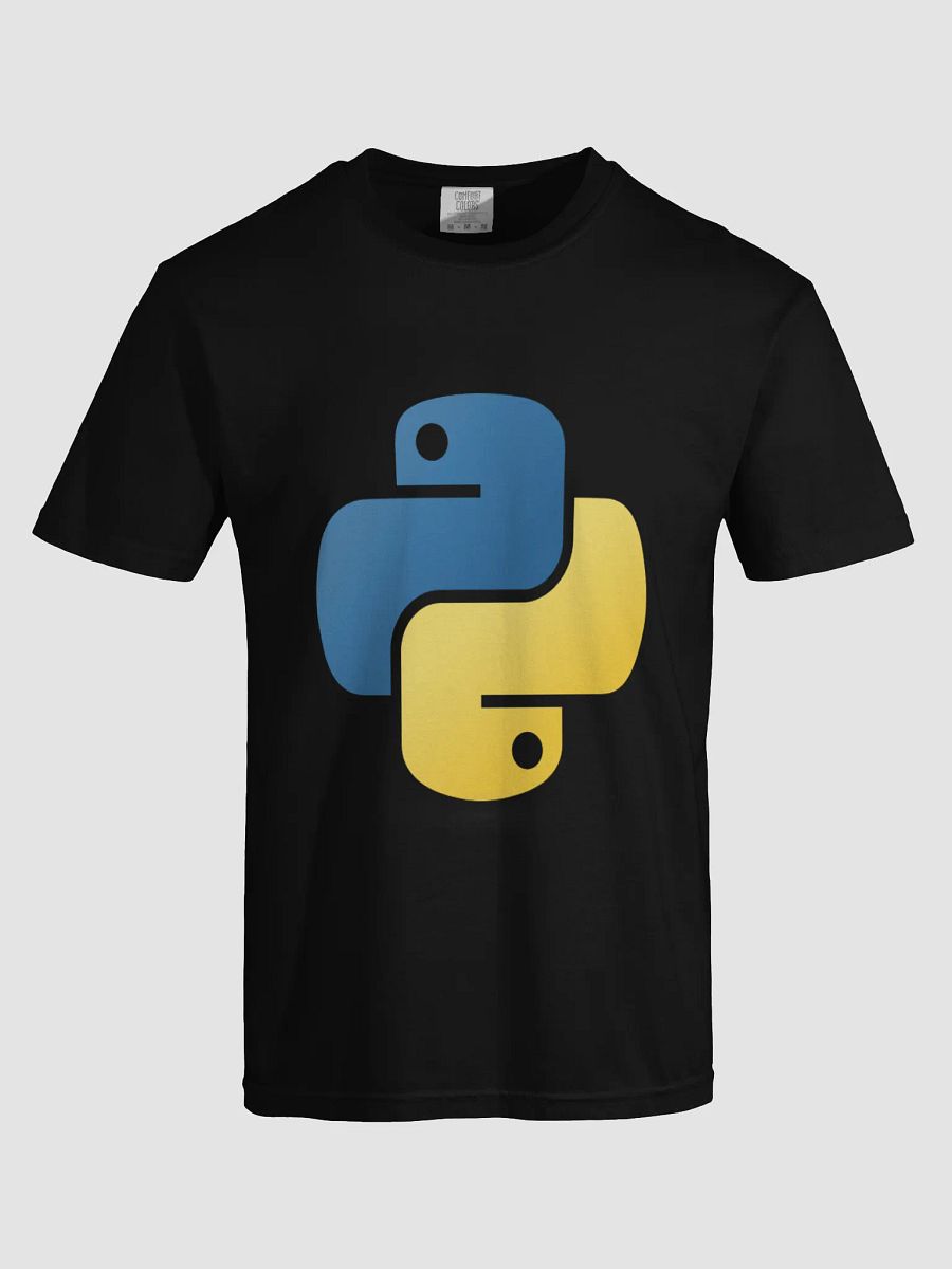 Python Developer T-Shirt product image (1)