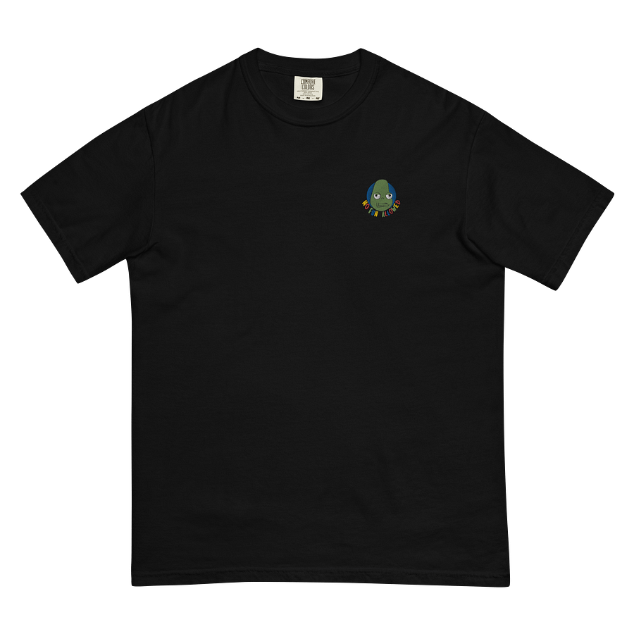 No Fun Allowed Embroided Tee product image (4)