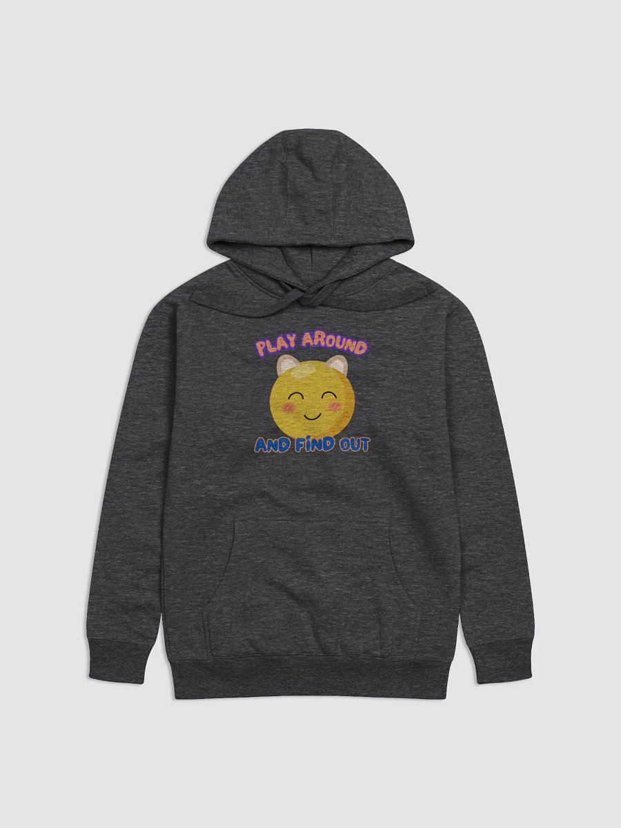 Play around and Find out Hoodie product image (6)