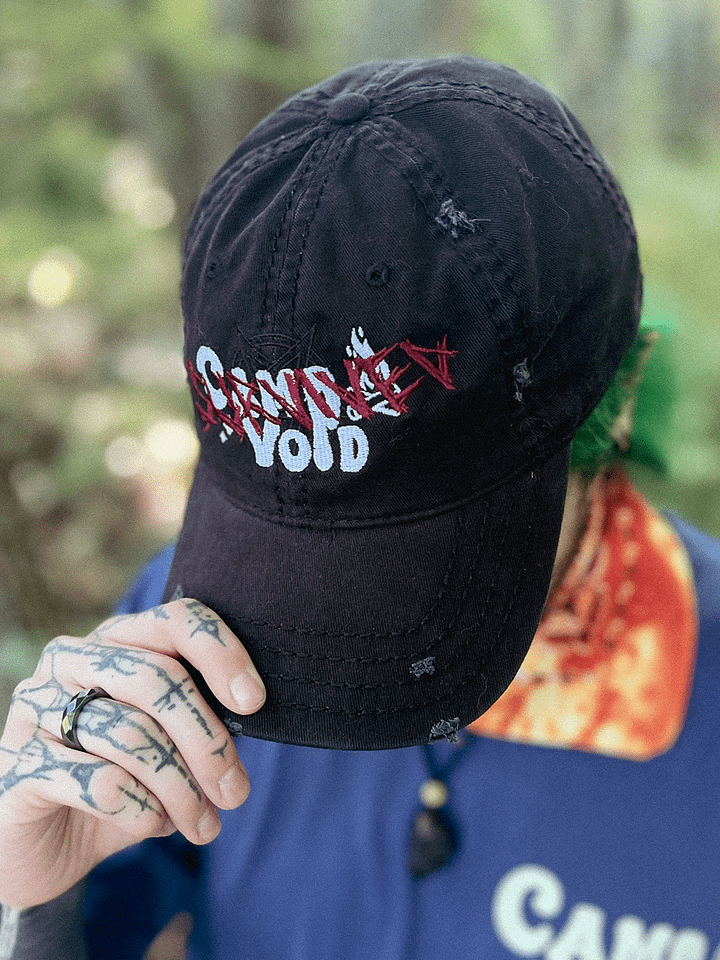 I Survived Camp Void Distressed Dad Hat product image (2)