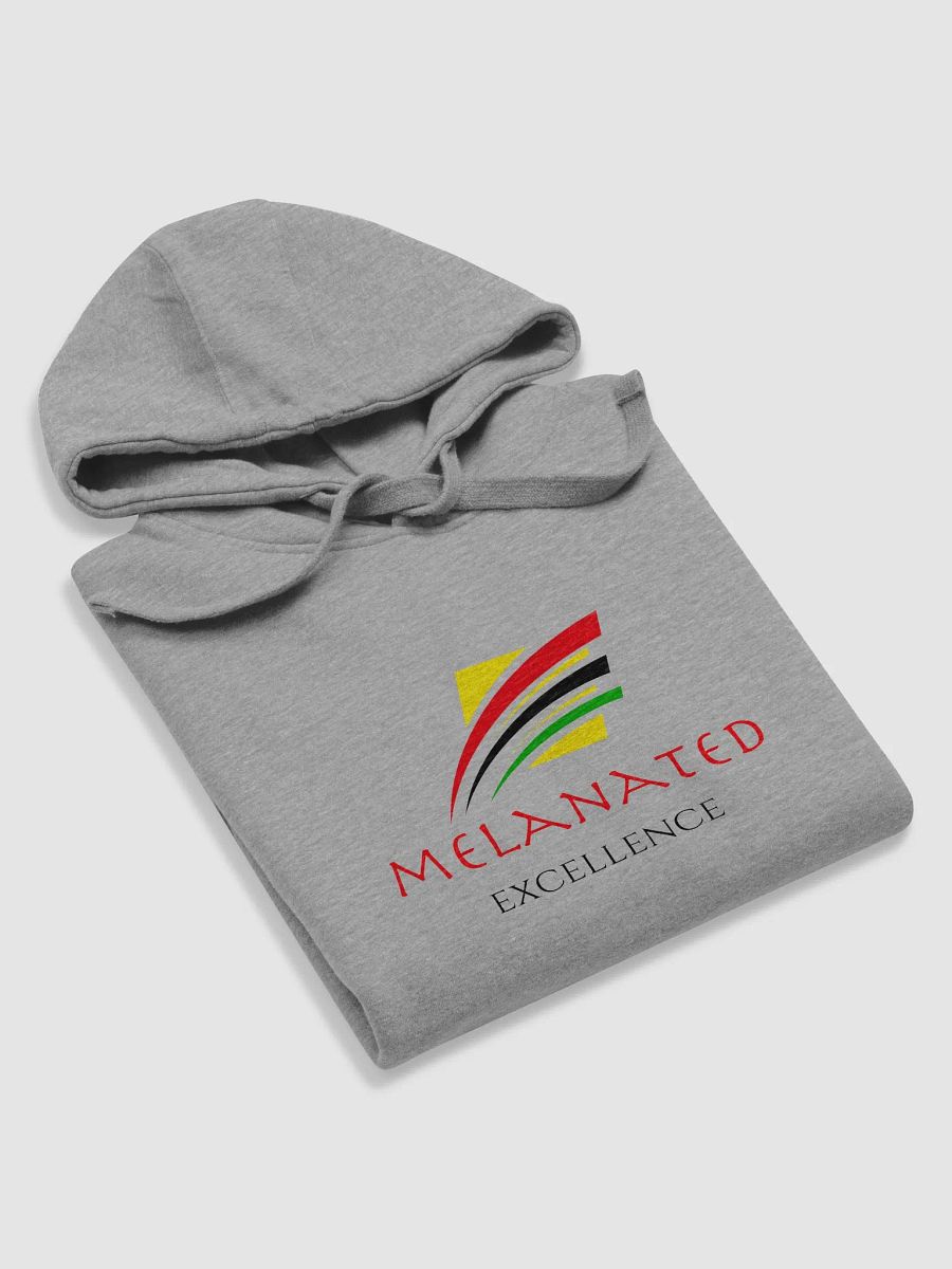 Melanated Excellence Hoodie product image (12)