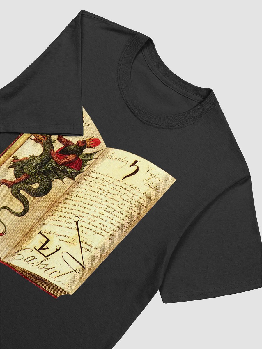 Celestial Intelligencer ❖ Soft Tee product image (3)