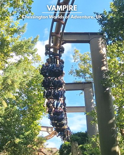 Coaster of the day! - Vampire at Chessington World of Adventures Resort 🎢