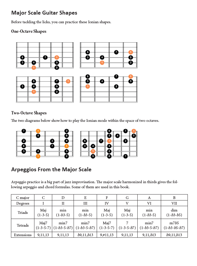 40 Major Jazz Guitar Licks - PDF eBook Method With Audio product image (3)