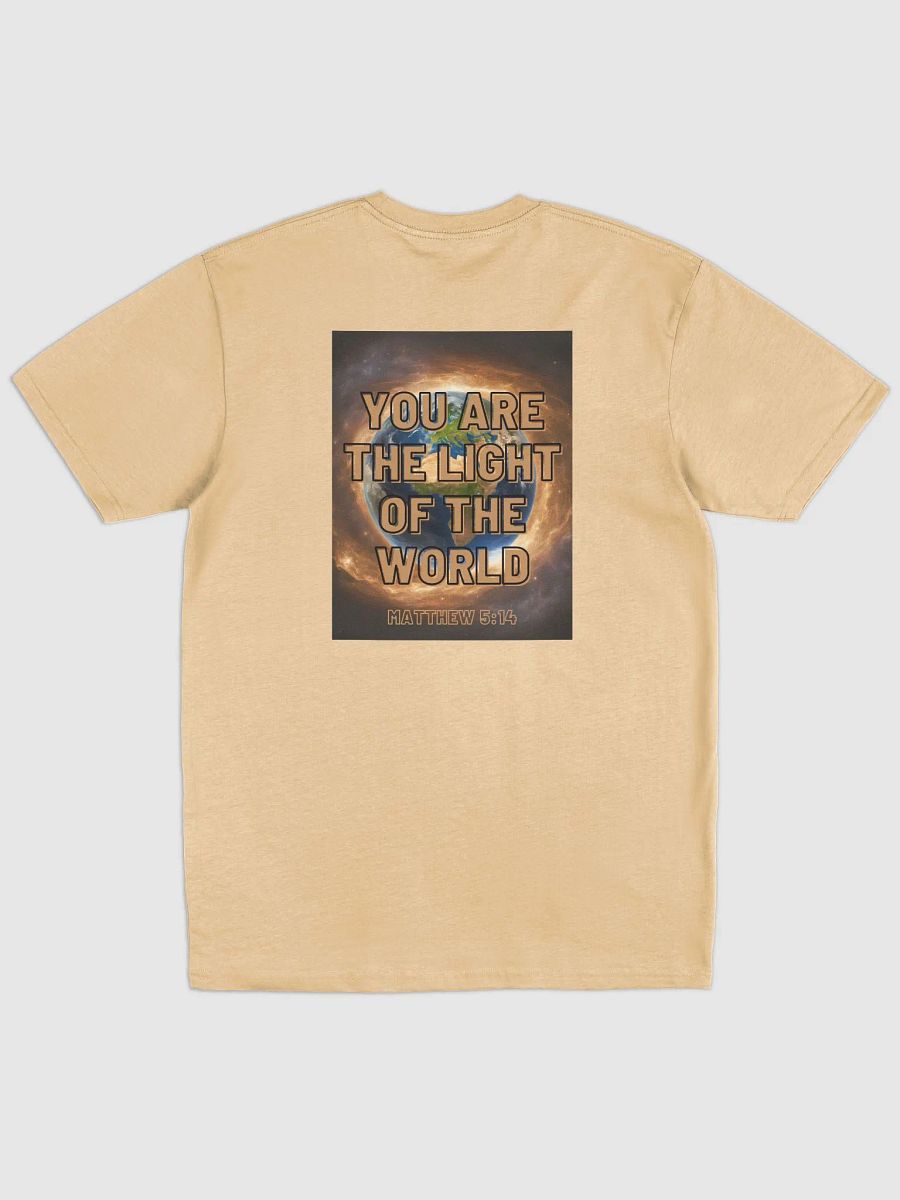 LIGHT OF THE WORLD product image (3)