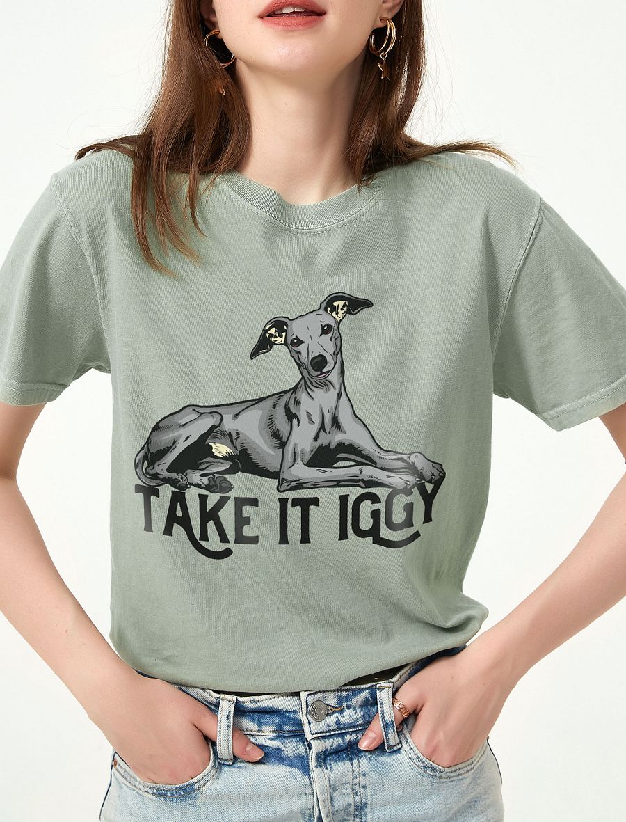 Take It Iggy T-Shirt of an Italian Greyhound | Funny T-Shirt for Iggy Paw-rents product image (1)