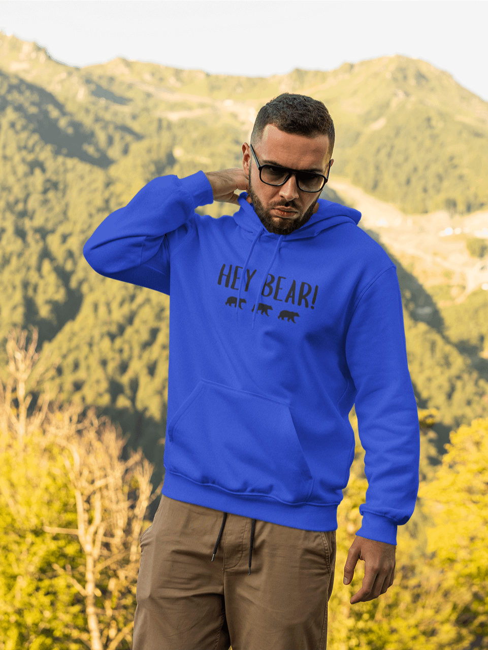 Hey Bear! - Classic Heavy Blend Hoodie product image (23)