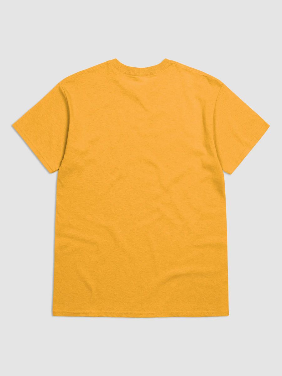 Alpha Delta Gamma Class of 2025 T-Shirt product image (5)
