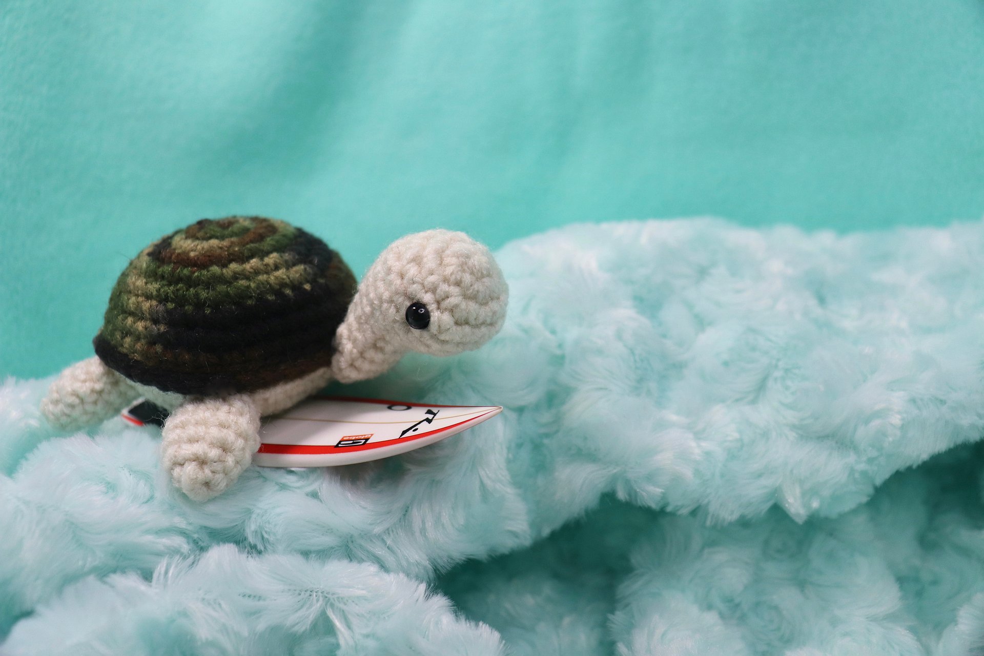 Sheldon the Turtle PDF product image (4)