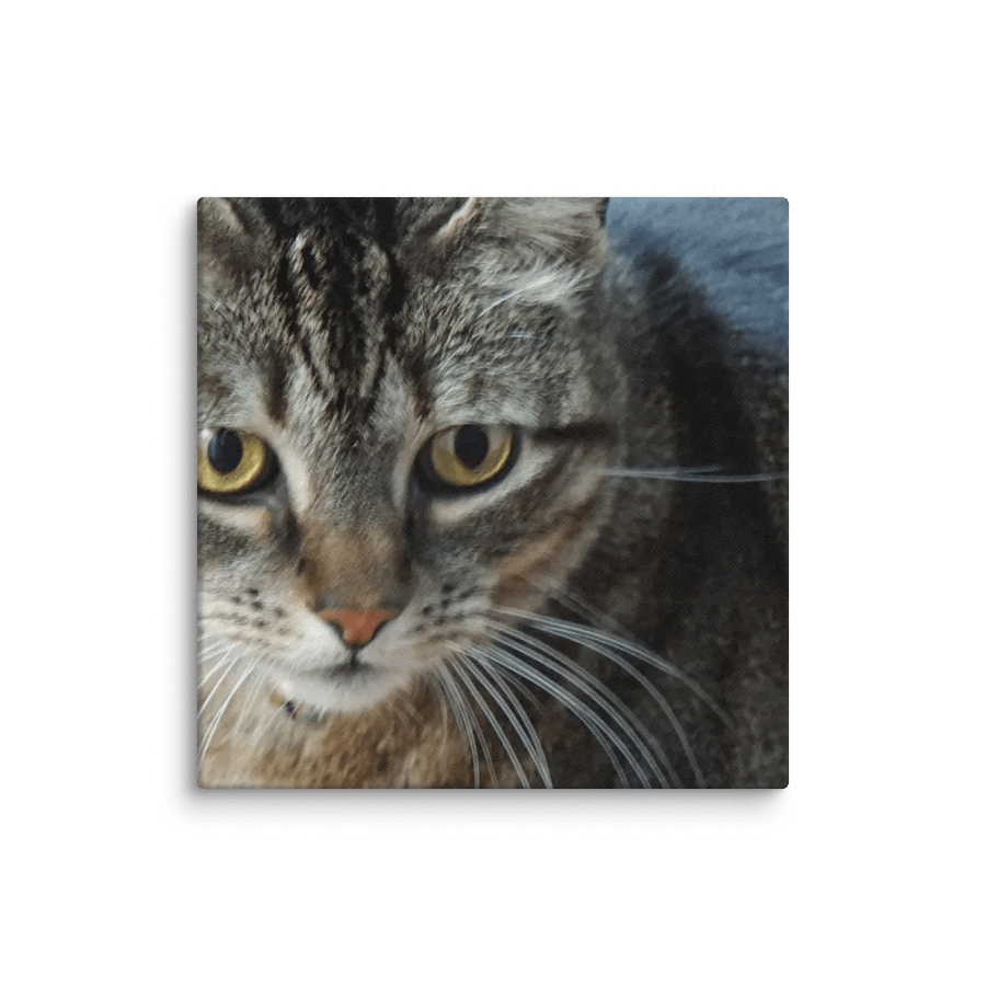Cat Canvas product image (1)