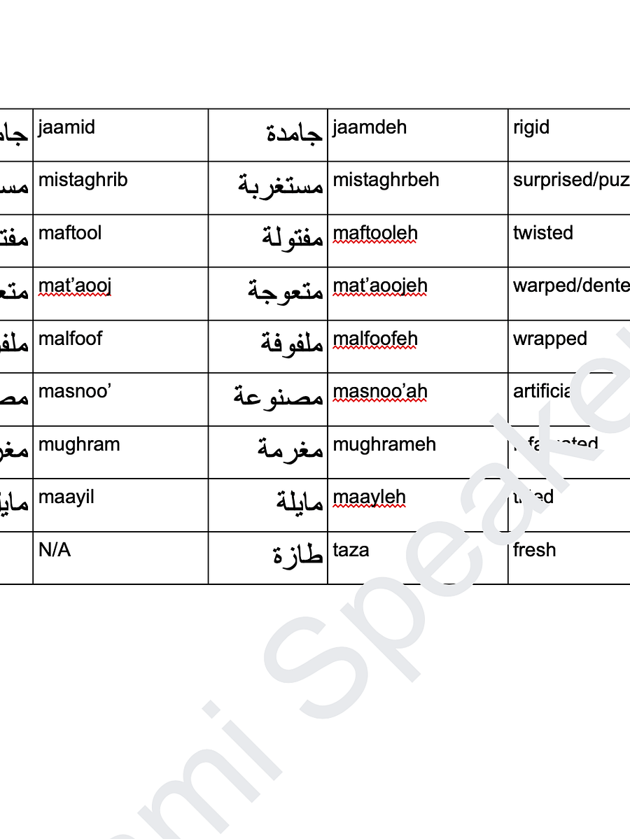 Adjectives in Levantine Arabic Ultimate Collection product image (4)