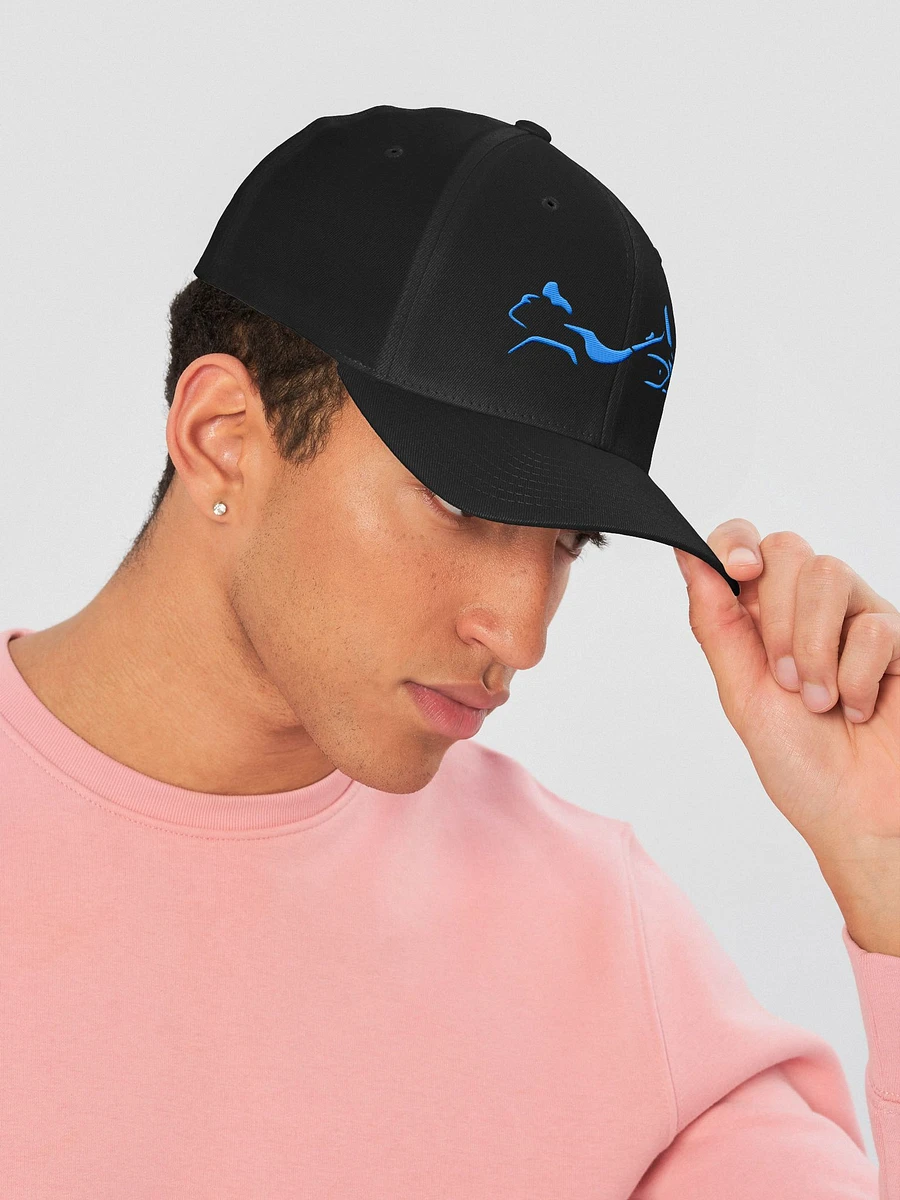 Shadow Wing Flexi-Fit Fabric Logo Cap BLUE product image (4)