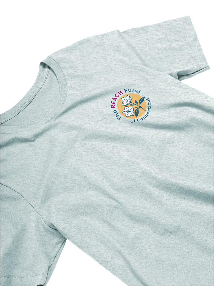 REACH Logo product image (2)