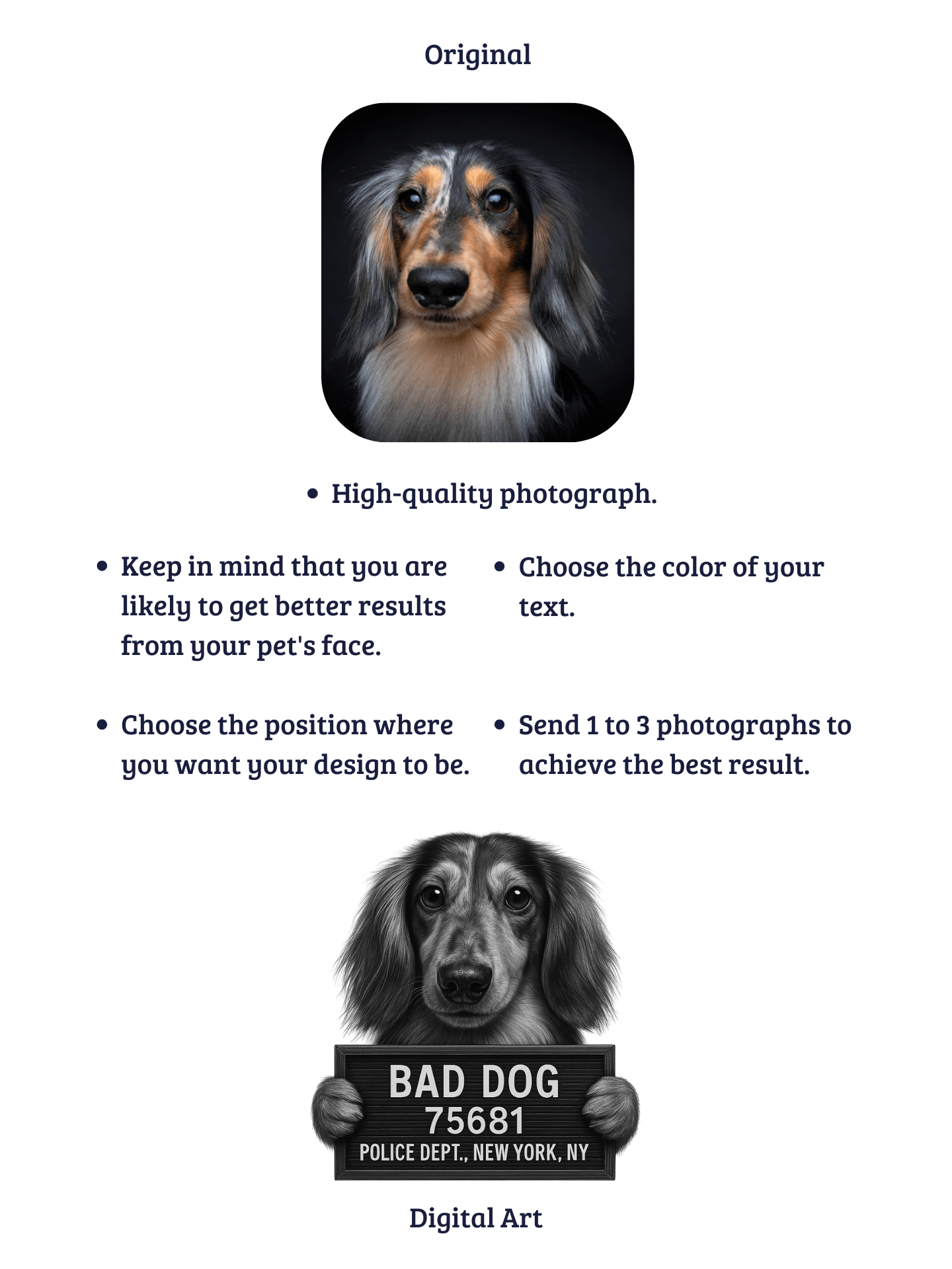 "BAD DOG" / T-SHIRT WITH PERSONALIZED NAME product image (5)
