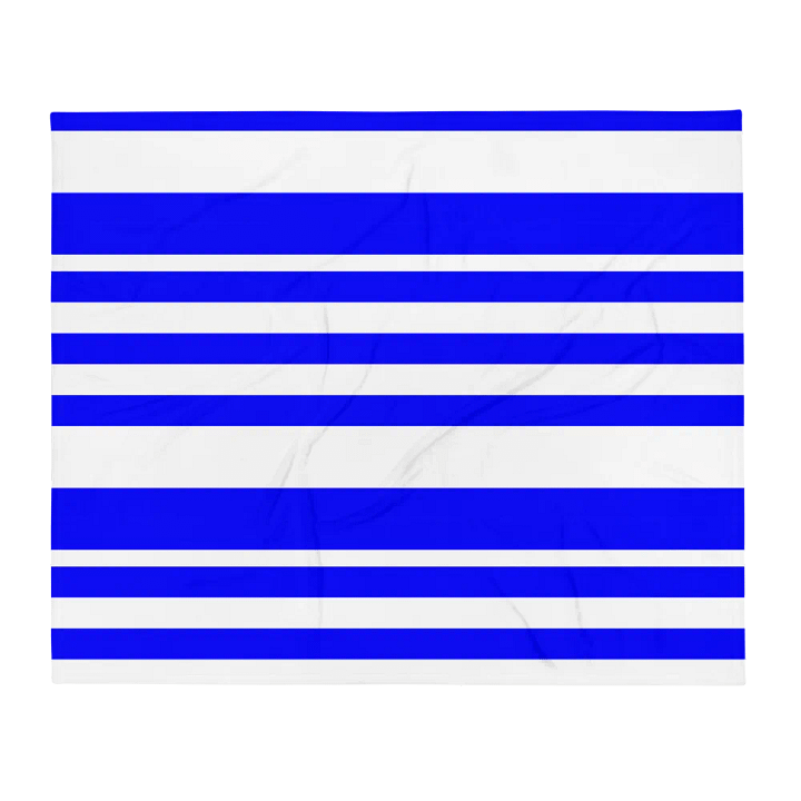 Various Sized Blue Striped Throw Blanket product image (2)