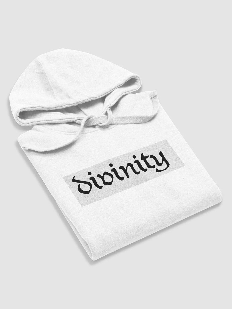 divinity white logo hoodie product image (6)