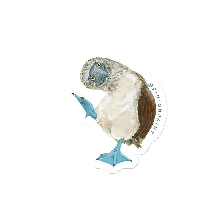 Booby magnet product image (2)