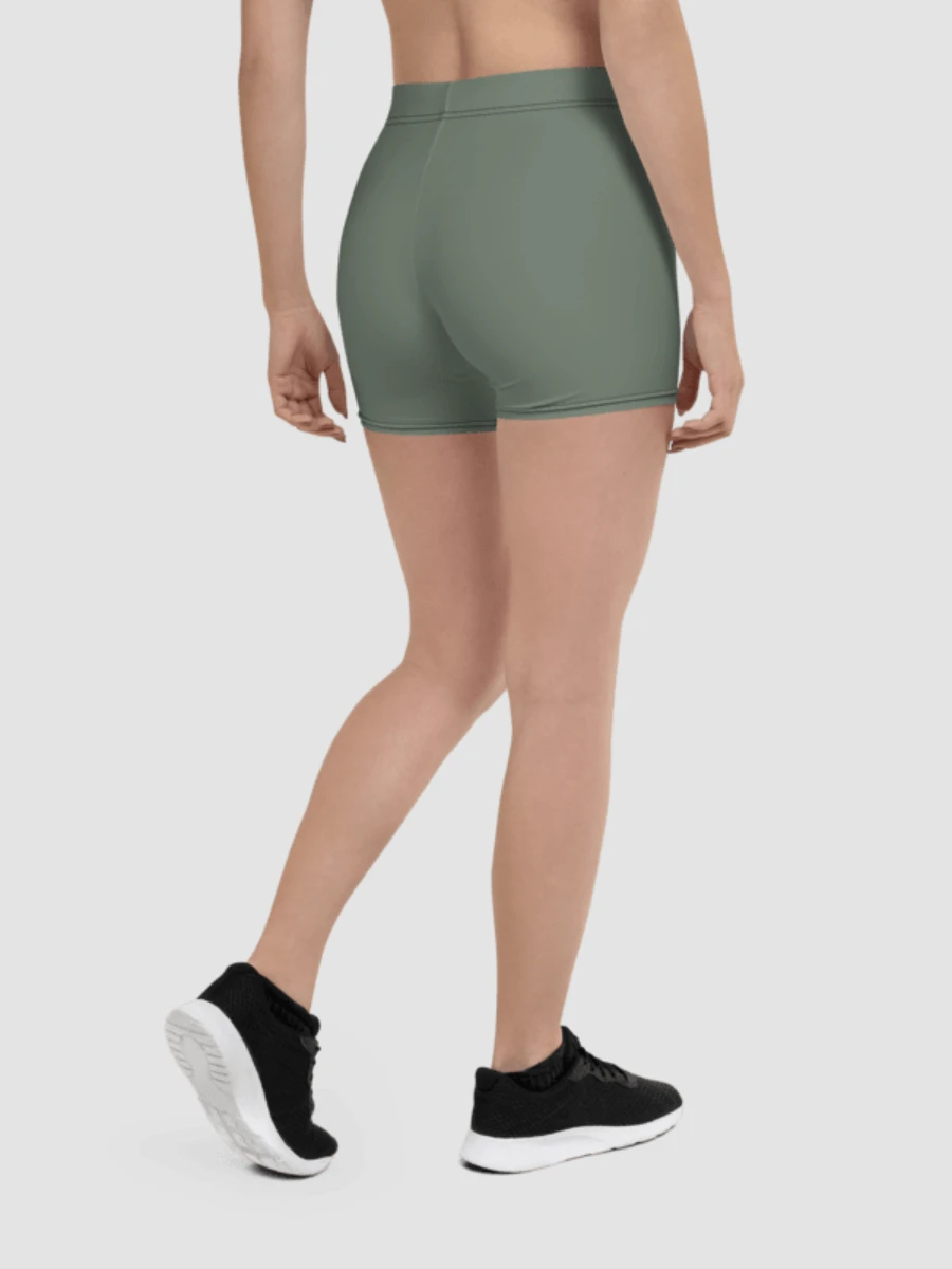 Shorts - Sage Green product image (3)