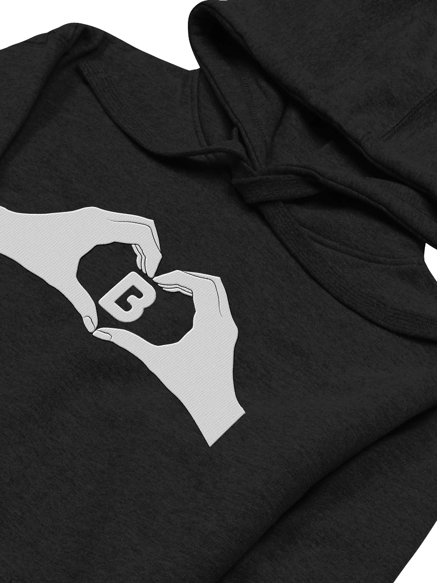 Heartfelt Love "B" Embroidered Unisex Premium Hoodie product image (31)