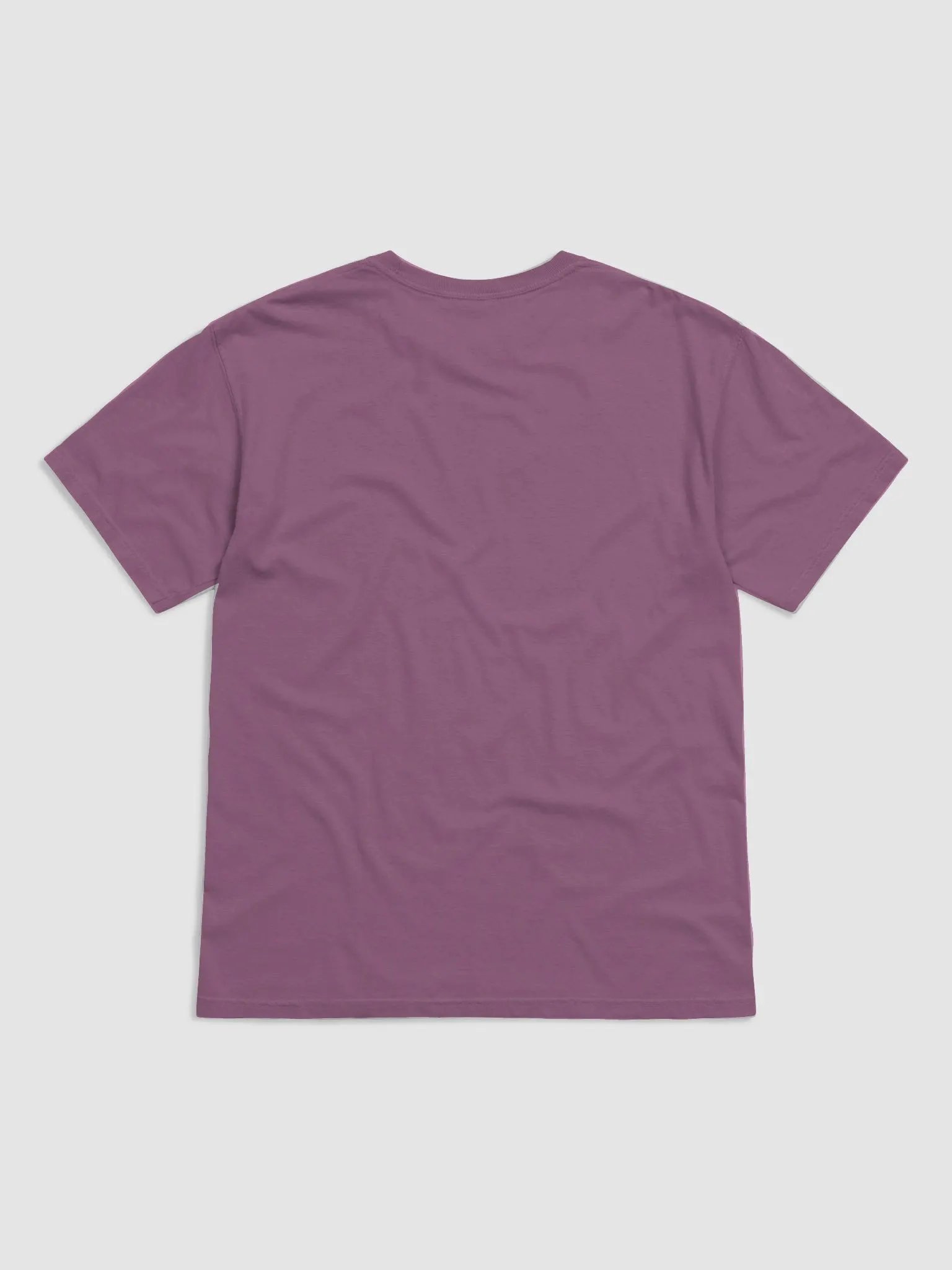 Emerge comfort colors heavyweight organic cotton t-shirt product image (2)