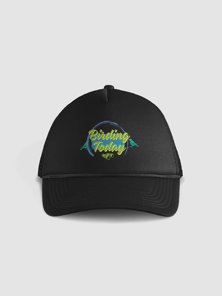 Birding Today  trucker cap product image (2)
