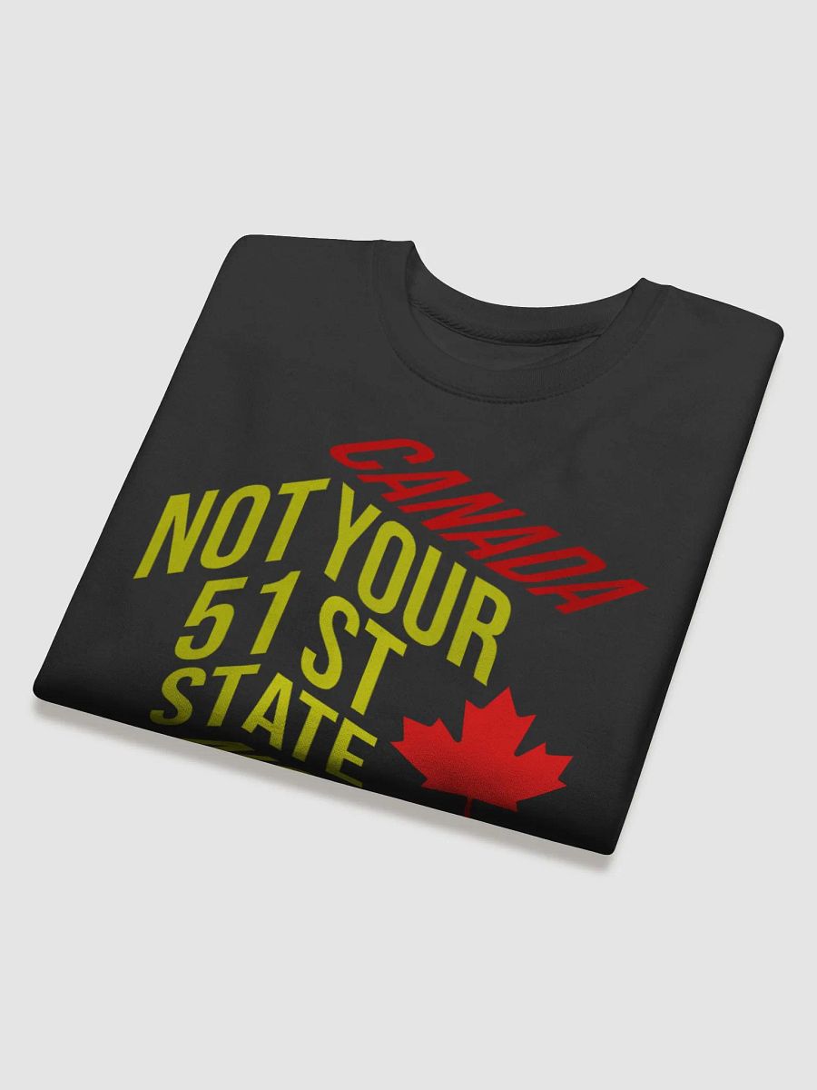 Canadian Pride Statement Sweatshirt product image (19)