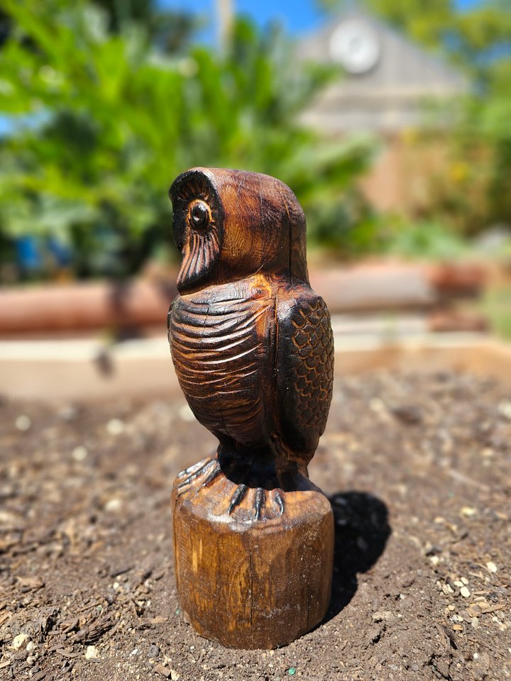 Wood Carved Owl! product image (2)